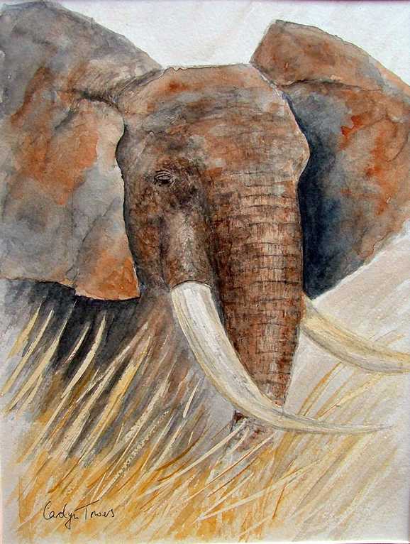 Portrait of an African Bull Elephant
